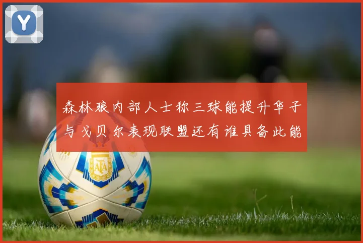 森林狼内部人士称三球能提升华子与戈贝尔表现联盟还有谁具备此能力